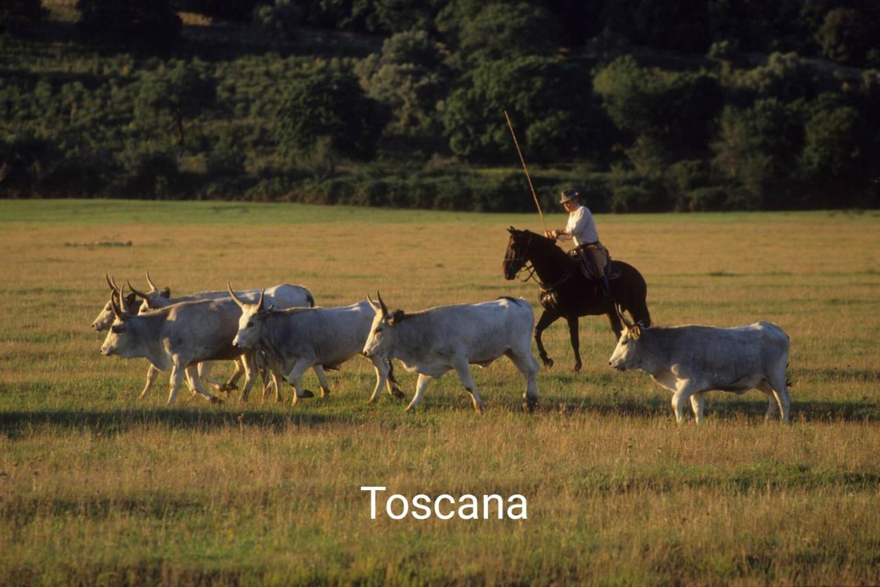Appartamento La Libellula Grosseto Esterno foto
